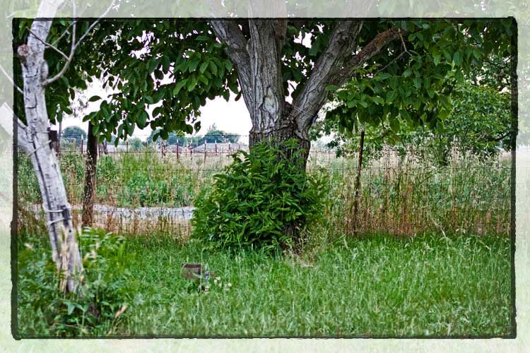 Eleventh slide image